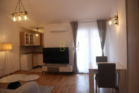 Izdavanje, garsonjera, 28m², Zagorič, Podgorica - image 2