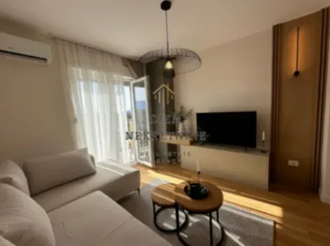 Izdavanje, jednosoban stan, 40m², Zabjelo, Podgorica - image 6