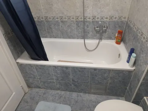 Izdavanje, dvosoban stan, 36m², Detelinara, Novi Sad Sve Podlokacije - image 2