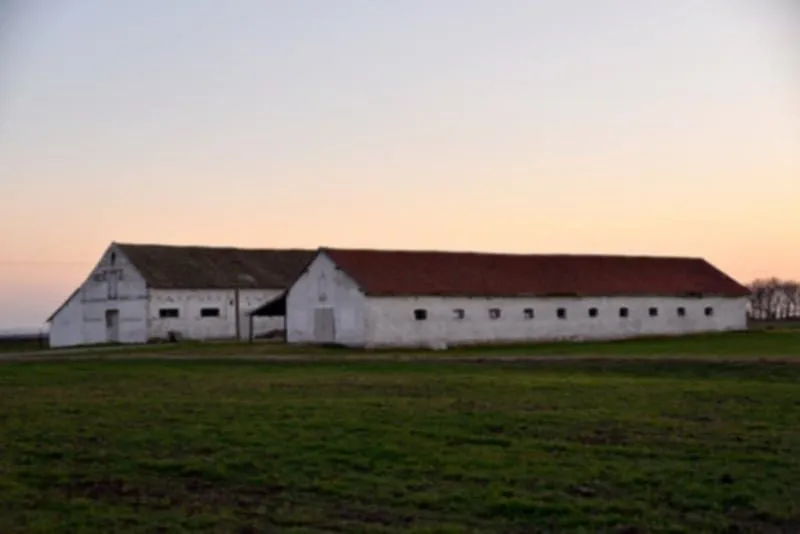 Prodaja, plac, 98000m², Vrbas, Novi Sad