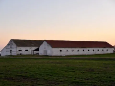 Prodaja, plac, 98000m², Vrbas, Novi Sad - image 8