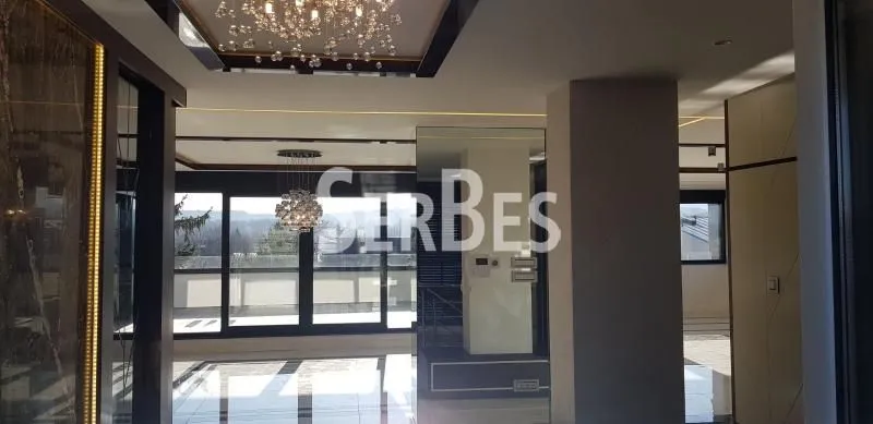 Izdavanje, stan, 217m², Telep, Novi Sad Sve Podlokacije
