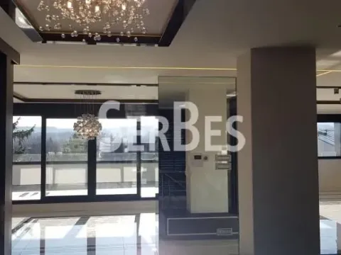 Izdavanje, stan, 217m², Telep, Novi Sad Sve Podlokacije - image 12