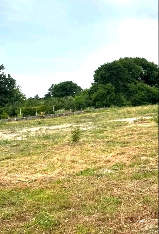 Sale, land lot, 1000m², Ćurilac, Danilovgrad