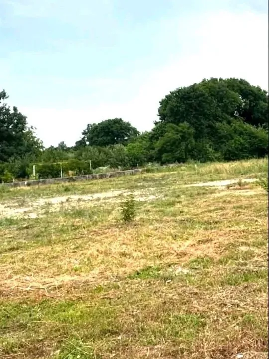 Prodaja, plac, 1000m², Ćurilac, Danilovgrad