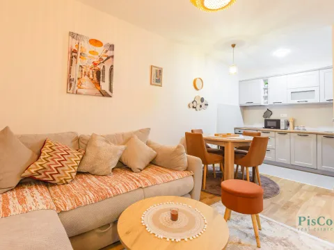 Rent, one bedroom apartment, 48m², Pobrežje, Podgorica - image 1