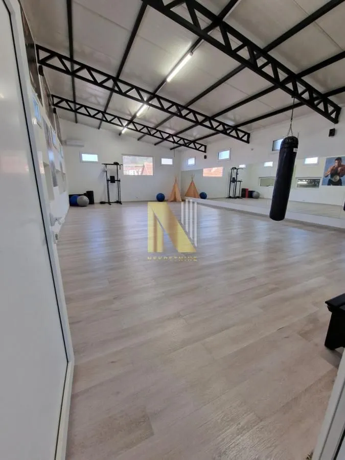 Izdavanje, poslovni prostor, 300m², Novi Sad, Srbija