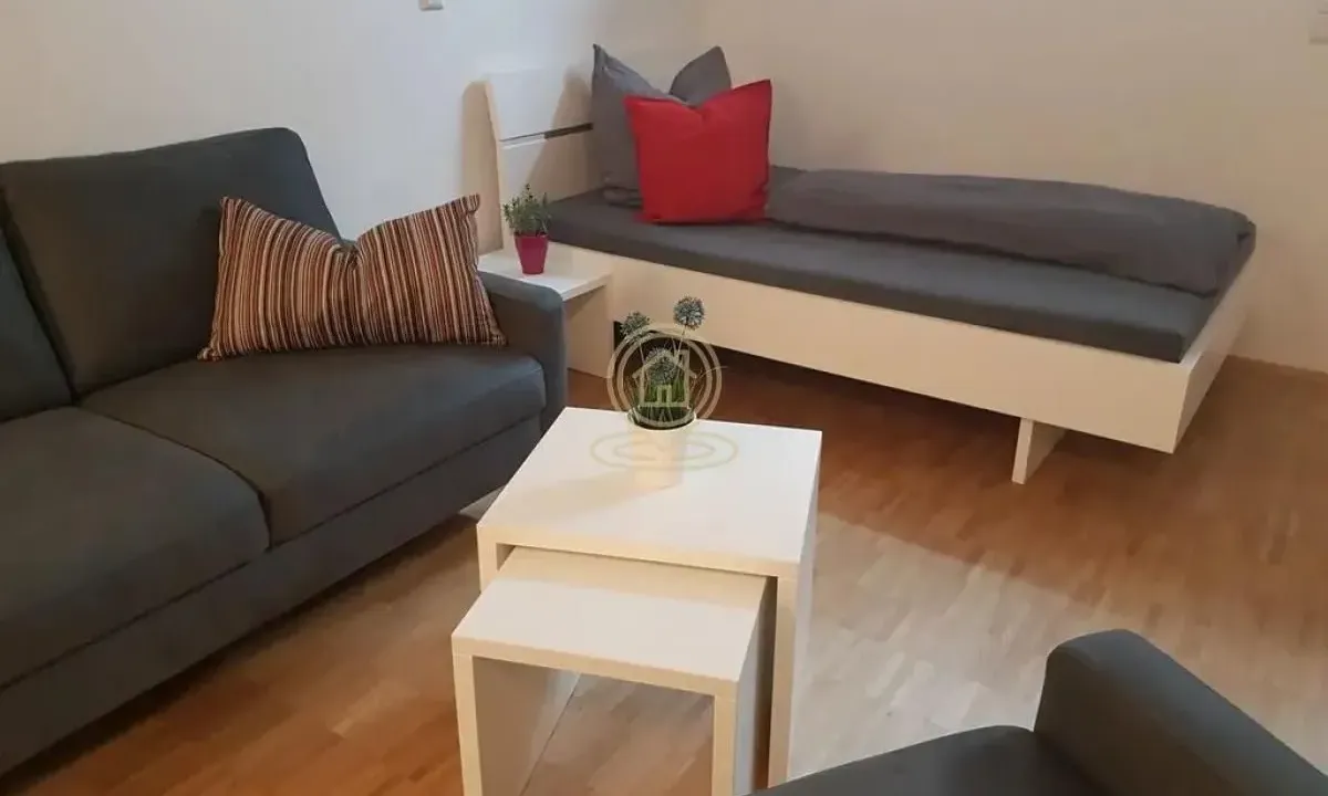 Izdavanje, jednosoban stan, 30m², Nova Detelinara, Novi Sad Sve Podlokacije