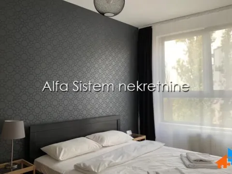 Izdavanje, dvosoban stan, 54m², Vračar Centar, Vračar Sve Podlokacije - image 7