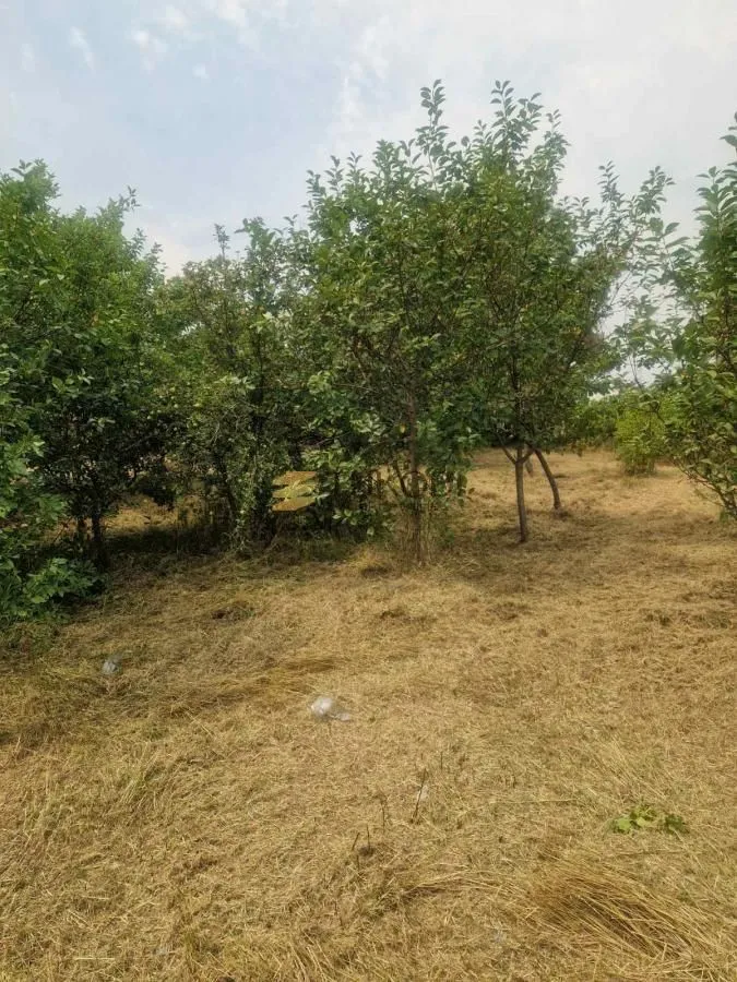 Prodaja, kuća, 43m², Širine, Petrovaradin