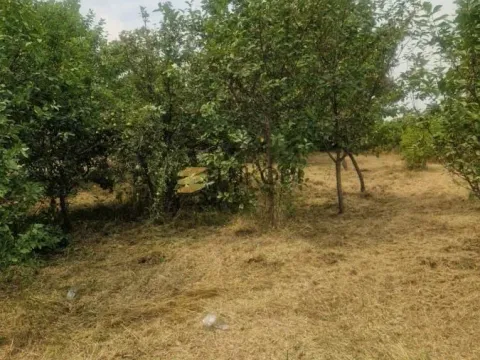 Prodaja, kuća, 43m², Širine, Petrovaradin - image 7