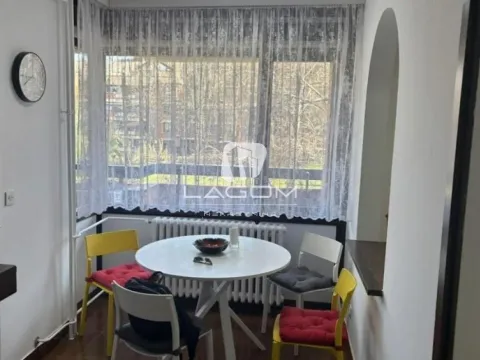 Izdavanje, dvosoban stan, 70m², Višnjička Banja, Palilula Sve Podlokacije - image 9