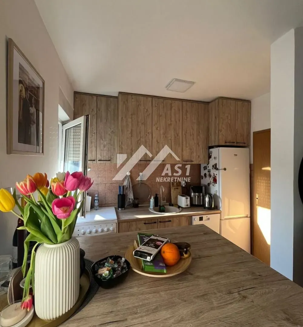 Izdavanje, dvosoban stan, 48m², Telep, Novi Sad Sve Podlokacije