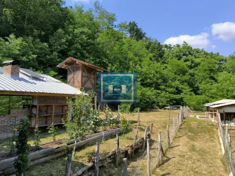 Prodaja, ugostiteljski objekat, 250m², Despotovac, Srbija - image 8