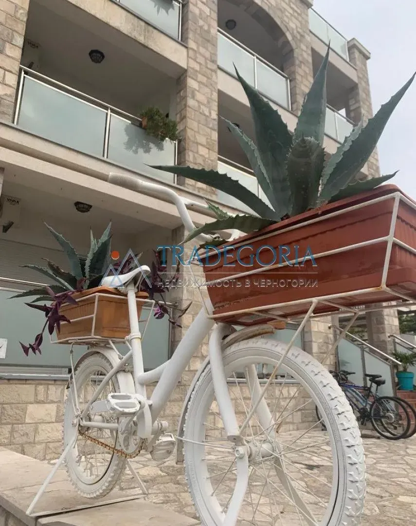 Prodaja, ugostiteljski objekat, 1200m², Bečići, Budva