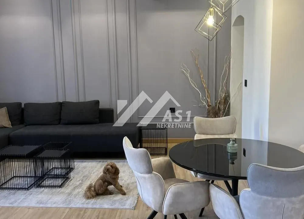Izdavanje, dvosoban stan, 57m², Novi Sad Sve Podlokacije, Novi Sad