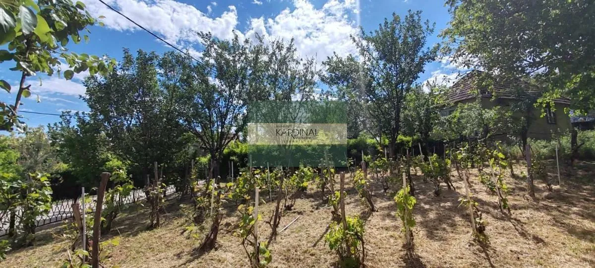 Prodaja, kuća, 250m², Crnče, Jagodina