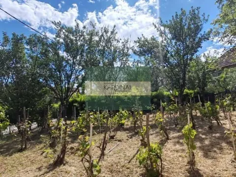 Prodaja, kuća, 250m², Crnče, Jagodina - image 40
