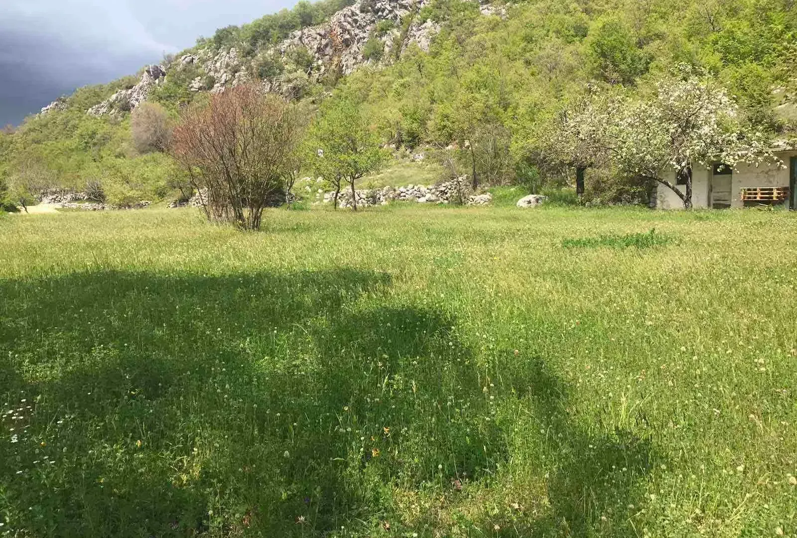 Prodaja, plac, 5000m², Danilovgrad, Crna Gora
