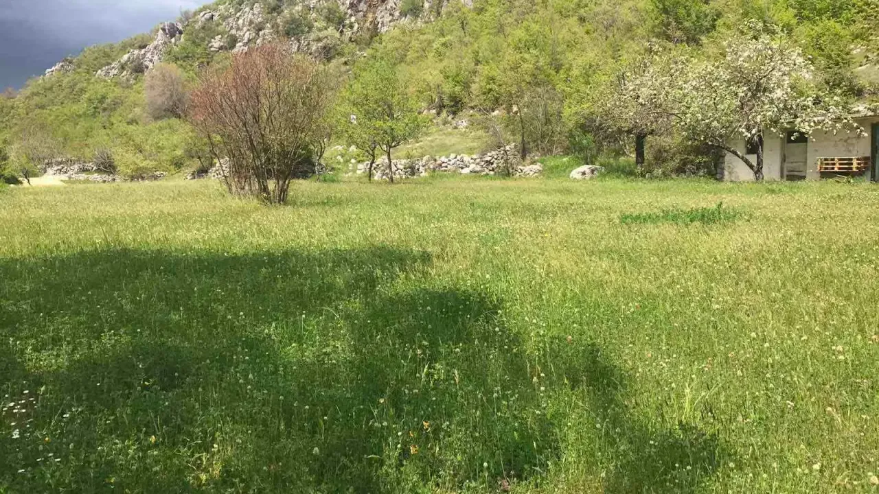 Sale, land lot, 5000m², Danilovgrad, Crna Gora