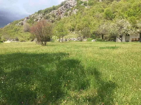 Prodaja, plac, 5000m², Danilovgrad, Crna Gora