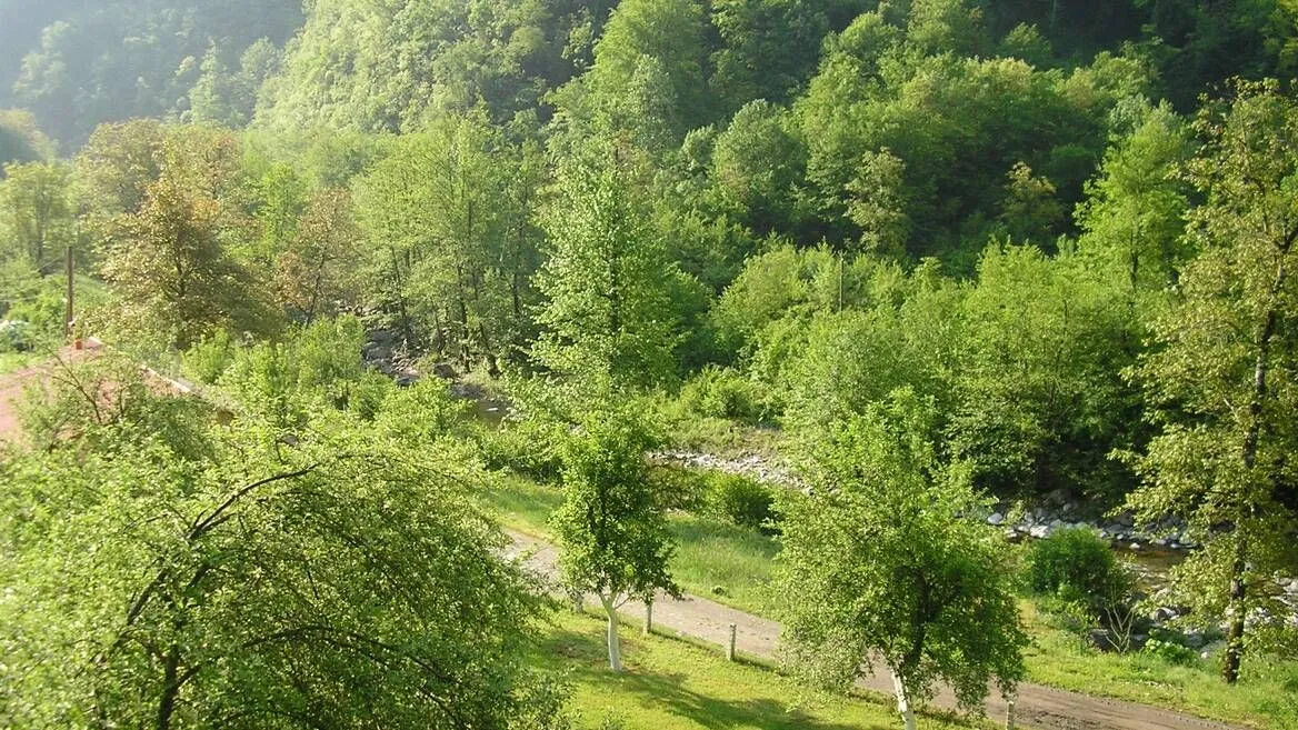 Prodaja, plac, 15588m², Kolašin, Crna Gora