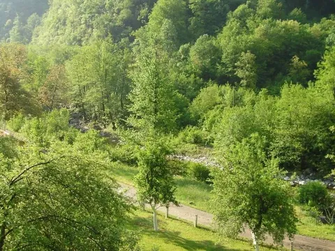 Prodaja, plac, 15588m², Kolašin, Crna Gora - image 7