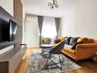 Izdavanje, jednosoban stan, 47m², Central Point, Podgorica - image 12