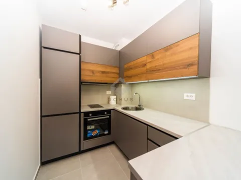 Izdavanje, jednosoban stan, 47m², Stari Aerodrom, Podgorica - image 5