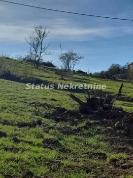 Pogled na zeleni plac sa rastinjem i drvećem. - image 6
