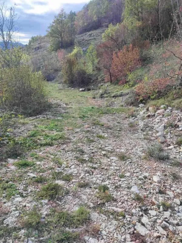 Prodaja, plac, 26000m², Cetinje, Crna Gora