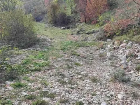 Prodaja, plac, 26000m², Cetinje, Crna Gora - image 8