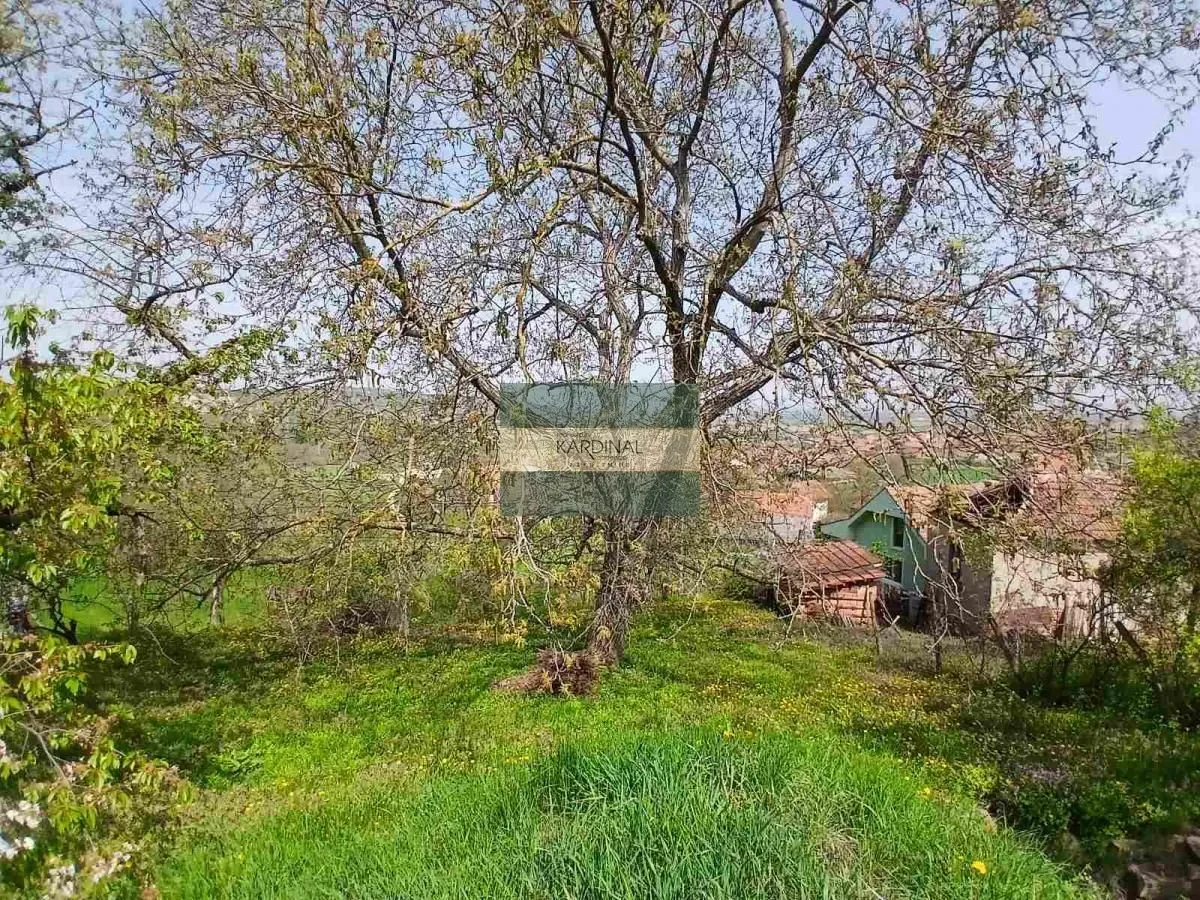 Prodaja, plac, 1258m², Majur, Jagodina