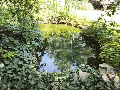 Prodaja, kuća, 145m², Novo Selo, Subotica - image 16