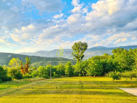 Prodaja, plac, 4178m², Danilovgrad, Crna Gora - image 3