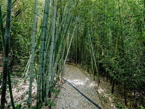 Prodaja, kuća, 805m², Reževići, Budva - image 41