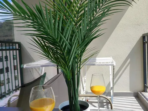 Sale, one bedroom apartment, 45m², Rafailovići, Budva - image 12