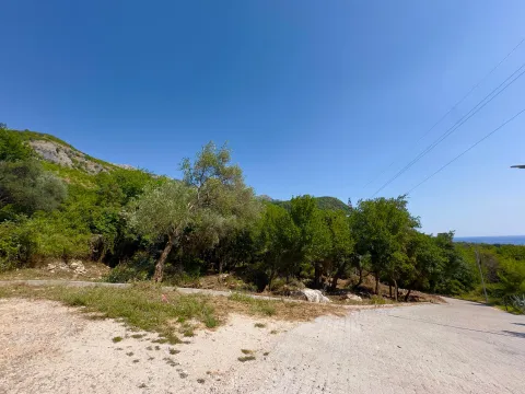 Asfaltni put koji vodi kroz zeleno okruženje sa drvećem. - image 3