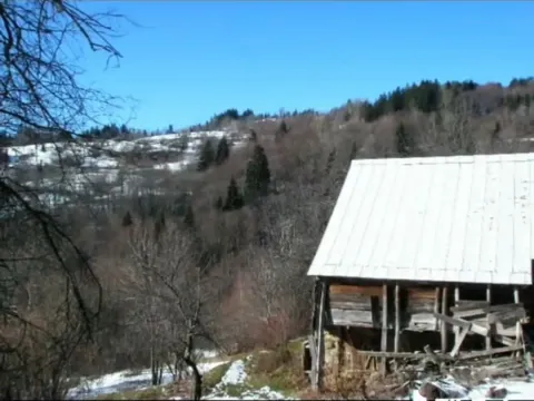 Prodaja, plac, 100000m², Sela, Kolašin - image 7