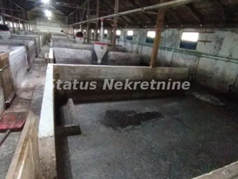 Sale, office space, 848m², Titel, Novi Sad - image 8