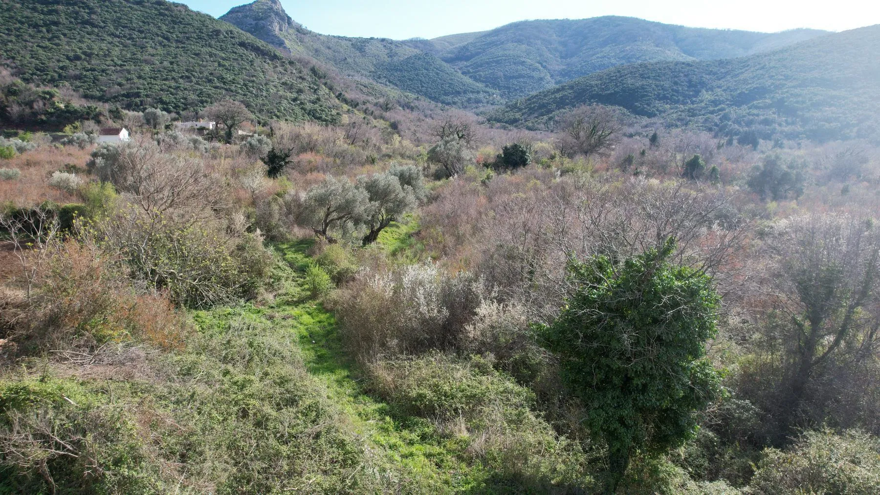 Sale, land lot, 40000m², Buljarica, Budva