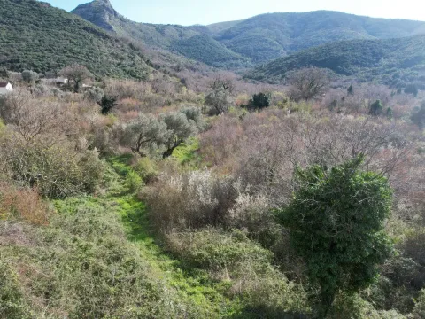 Prodaja, plac, 40000m², Buljarica, Budva - image 12
