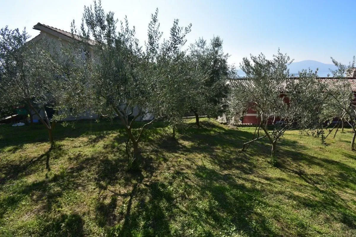 Prodaja, plac, 800m², Kavač, Kotor