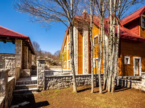 Prodaja, kuća, 285m², Cetinje, Crna Gora - image 15