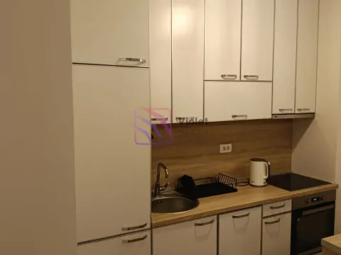Rent, one bedroom apartment, 48m², Stari Aerodrom, Podgorica - image 8