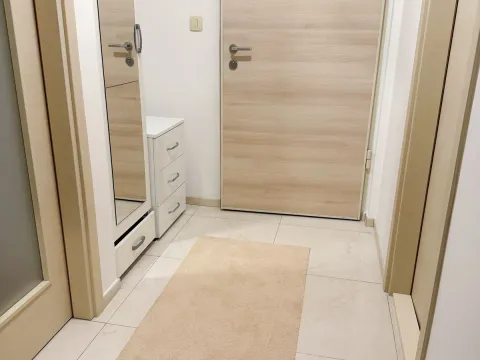 Rent, one bedroom apartment, 46m², Zagorič, Podgorica - image 8