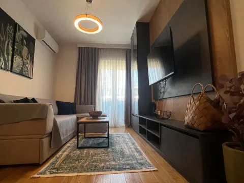 Prodaja, jednosoban stan, 39m², Central Point, Podgorica - image 3