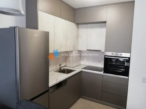 Rent, two bedroom apartment, 48m², Bogoslovija, Palilula Sve Podlokacije - image 5