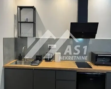 Izdavanje, dvosoban stan, 40m², Centar, Novi Sad - image 3