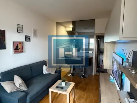 Izdavanje, jednosoban stan, 30m², Cvetkova Pijaca, Zvezdara Sve Podlokacije - image 3